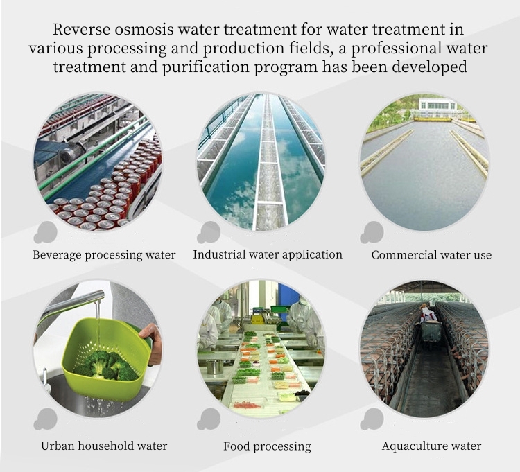 RO-500 500LPH Industrial Water Purification Systems Reverse Osmosis Water Plant For Customized Voltage Drinked Pure Water