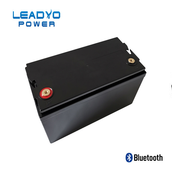 Buy cheap LEADYO BMS Marine Lifepo4 Batteries 12V 100amp Plastic Screwable Case product