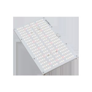 Buy cheap ETL 120W Quantum Board Led Grow Lights For Greenhouse product