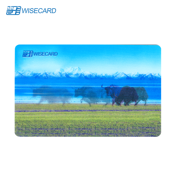 Raster Printing Contactless Smart Card , PVC Contactless Chip Card