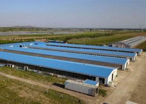 Buy cheap Galvanized Steel Structure Poultry House Windproof Steel Chicken House product