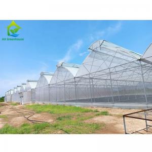 Buy cheap Multi Span Aluminum Tunnel Greenhouse for Flowers Vegetables Plant product