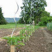 Quality Plant Spiral Support Wire/Tomato Spiral Support for sale