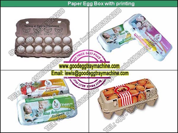 Printing Machine for Paper Egg Box