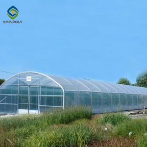 Buy cheap 10m × 12m Plastic Single Tunnel Greenhouse For Growing Vegetables product