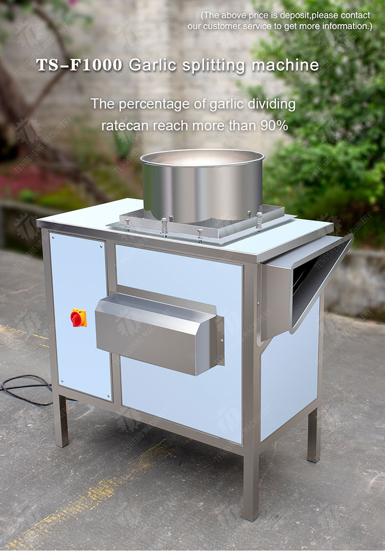 Garlic splitting machine minced garlic processing production Line