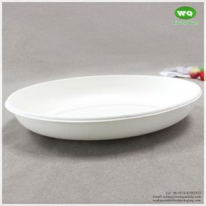 900ml Sugarcane Pulp Oval Bowl- sustainable Microwave safe Biodegradable Food