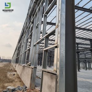 Customized Environmental Protection Steel Building Factory Easy Build Steel