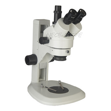 Buy cheap WF20X Eyepiece Stereo Zoom Microscope Trinocular Vertical With Digital Camera product