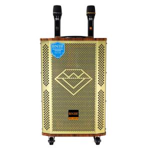 China 12 Inch Portable Trolley Speaker With Microphone Big Power Bluetooth 5.0 on sale