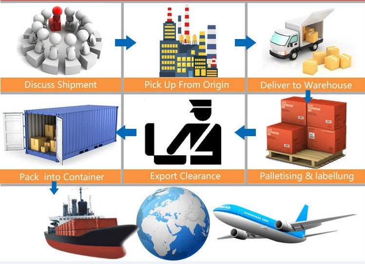 LCL Express All Lines DDP Sea Shipping From China To Austria