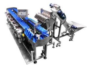 Buy cheap 300g 300pcs/Min Frozen Food Packing Machine Highly Intelligent product