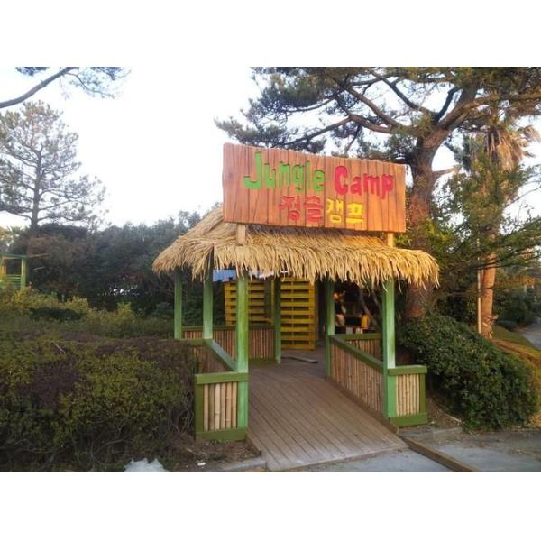 45*50cm and 30*45cm Thatch Roofing Material for Artificial Synthetic Simulation Roof