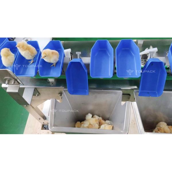 Smart Auto Conveyor Check Weigher Machine For Red Shrimp Sausages Sorter Belt Weigher Weight Checker
