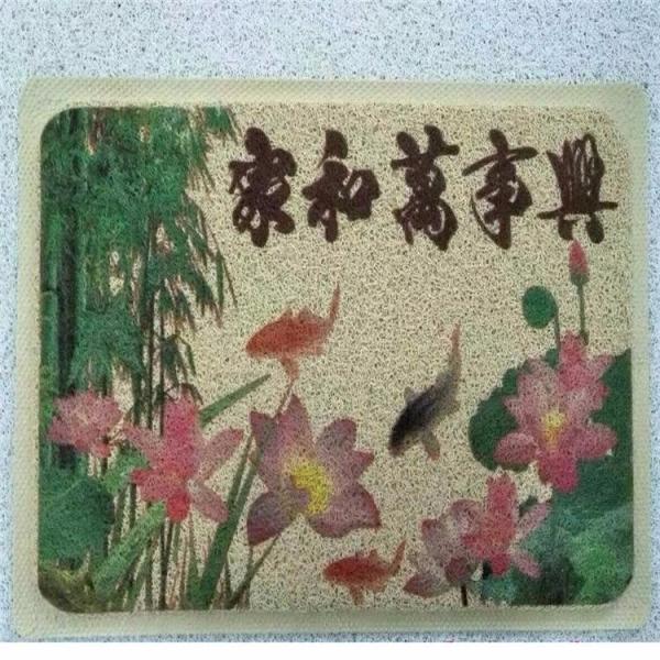 Anti-slip plastic pvc printed door mat