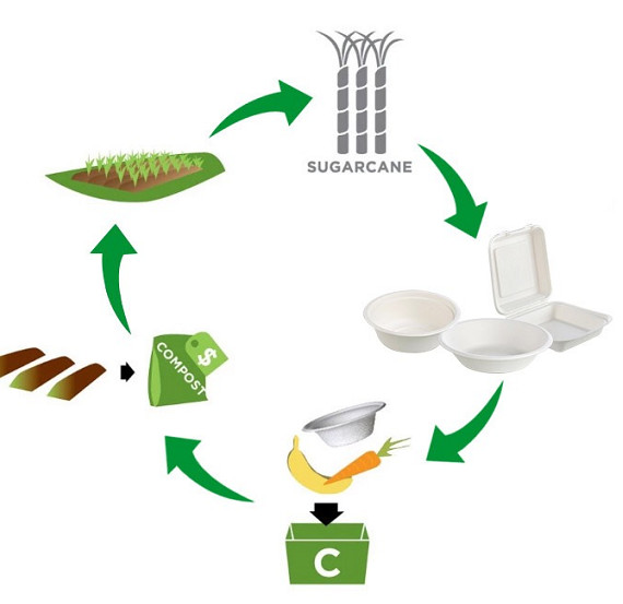brown Biodegradable Sugarcane Tableware Sugarcane Bagasse Takeaway Containers