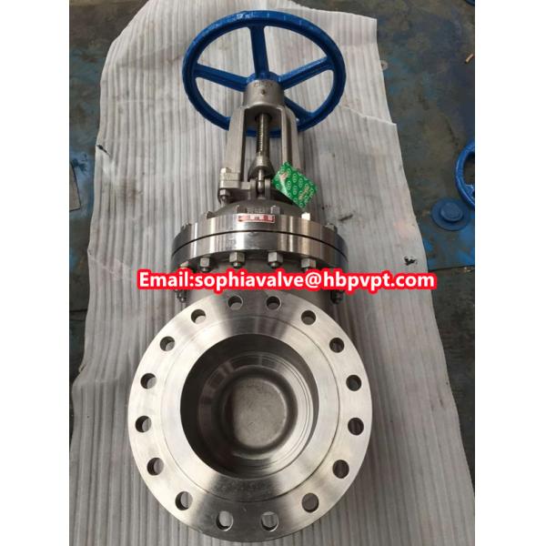 10 inch 300LB CF8M gate valve