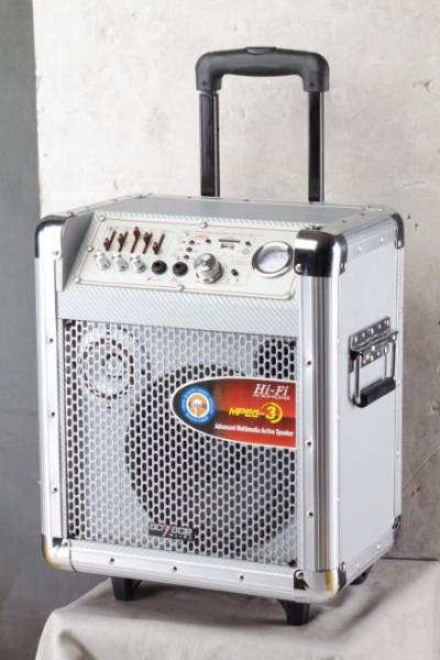 Quality active trolley speaker/portable speaker with USB/SD function for sale