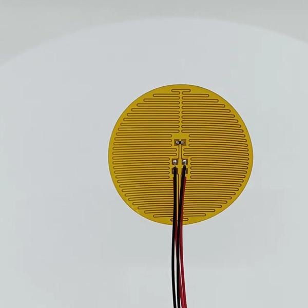 500V 260 Degree Polyimide Heater Element For Industrial Multifunctional