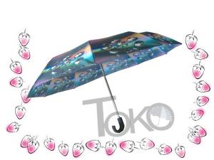 China Compact Sun Auto Open Umbrella , Self Opening And Closing Umbrellas Solid Frame on sale