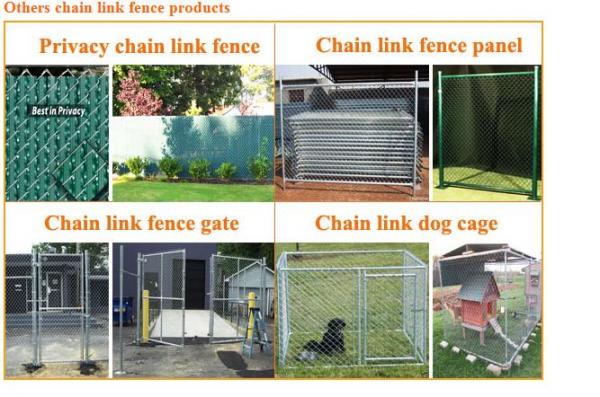  Others chain link fence products: