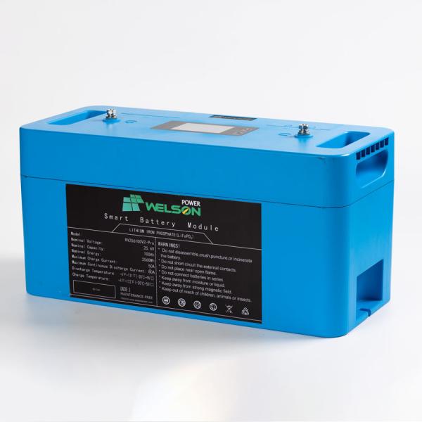 Ups RV Lifepo4 Battery With Bms 75ah 80ah 100AH Lithium Iron Phosphate LiFePGG