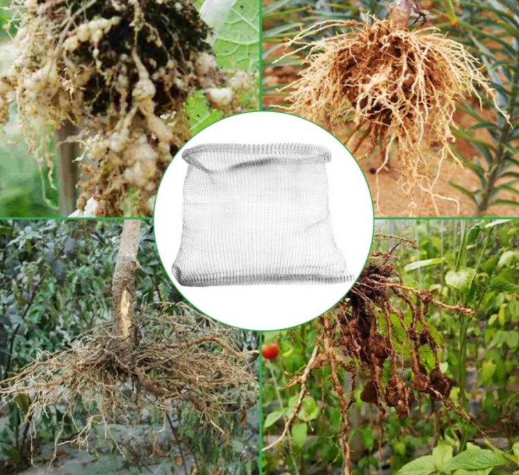 Stainless Steel Gopher Wire Baskets Reliable Solution For Crop Protection