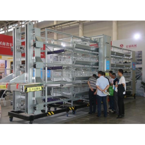 High Efficiency Egg Collection Systems Easy To Use And Manage For Chickn Farm Used