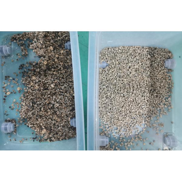Automatic Computing Coffee Bean Color Sorter Mini 32 Channels