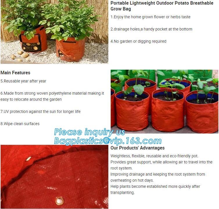 customized waterproof green pe car protector,environmental firendly, car boot liner, reusable, durable,economical,sample