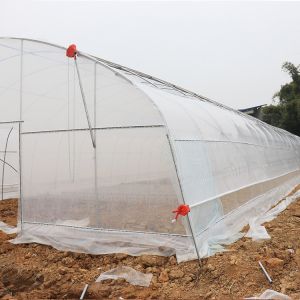 Invernadero Gothic Arch Single Span Greenhouse Galvanized 48mm Pipe Width 26ft