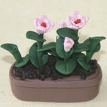 Buy cheap Model Ceramic pot Flower CF44 product