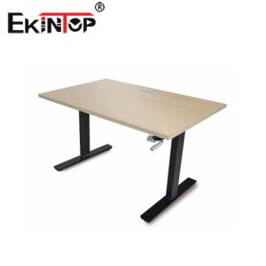 Modern Ergonomic Standing Desk Height Adjustable For Officeworks