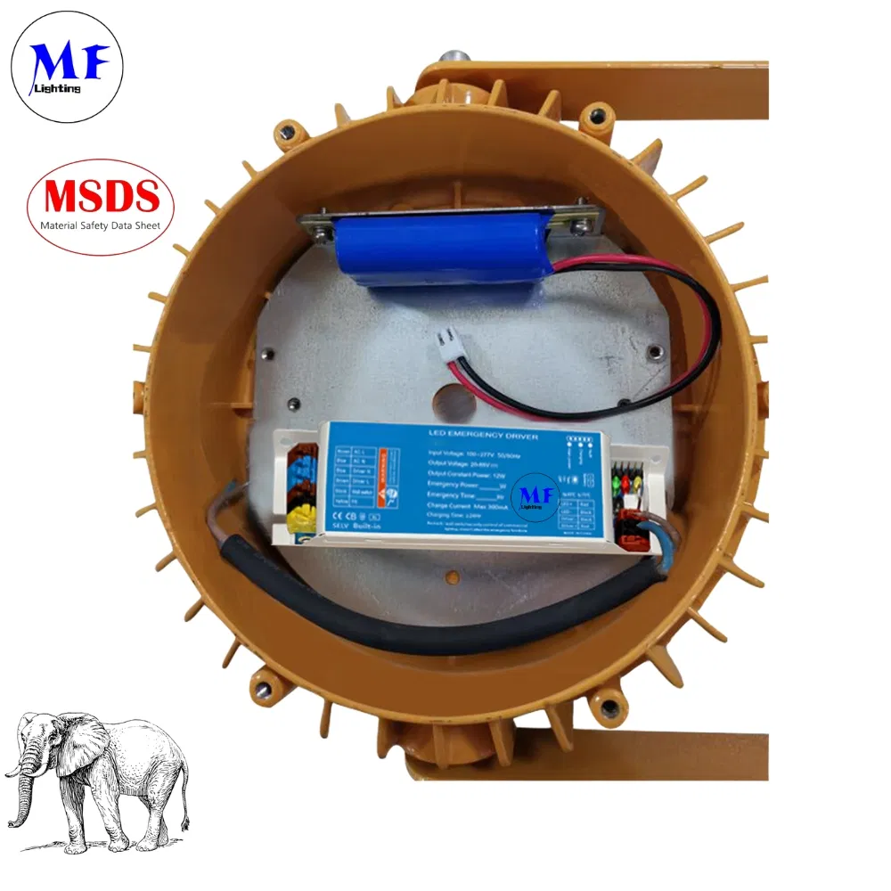 Factory Price 10W 100-277VAC UL924 CSA Li-ion Auto Test 5 Year Warranty Down Light Ceiling Light Panel Light Panic Light Ballast Powerpack for Emergency Case