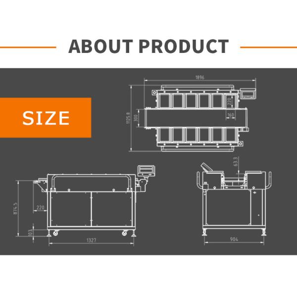 Automatic Counterweight Streaky Pork Fresh Meat Weighing Machine Belt Combination Weigher