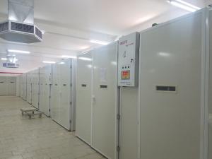 Buy cheap 20000 Incubator Chicken Egg Hatching Machine product