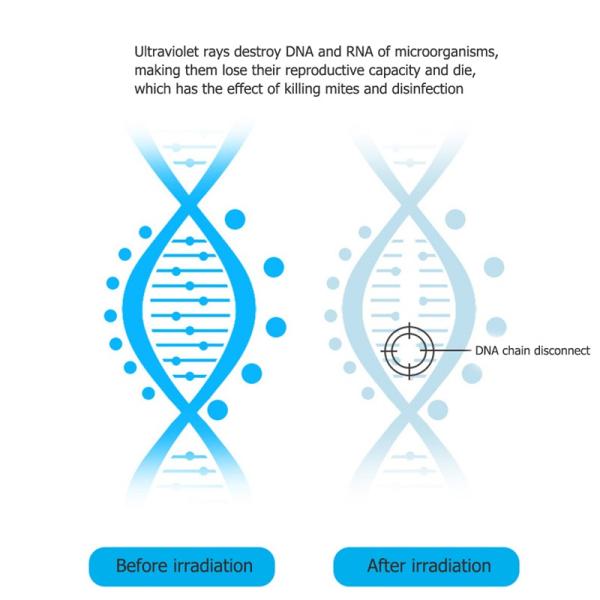 Disinfection UVC Kill Mite 38w 26*17*44cm Quartz Germicidal UV Light
