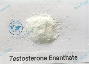 Buy cheap Legit Injectable Testosterone Enanthate Bodybuilding Steroid Test E for Muscle Growth Factory Supply product