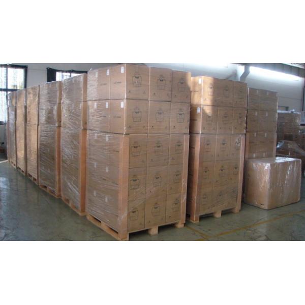 Rubber Double Convoluted Air Spring Contitech G1/2 Air Inlet Fd120-17