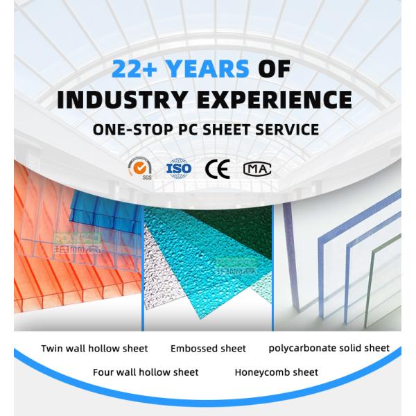 Composite Co Extrusion U-LOCK Panel Colored Transparent Hollow Board For Danpalon Polycarbonate Facade Double Hook Panel