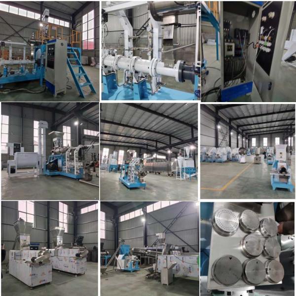 Wet Type Twin Screw Feed Extruder Machine For High-Performance