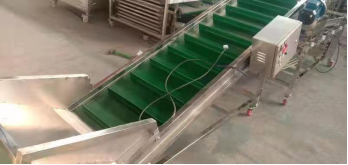 mushroom sorting machine,mushroom grading machine,walnut sorting machine,walnut grading machine