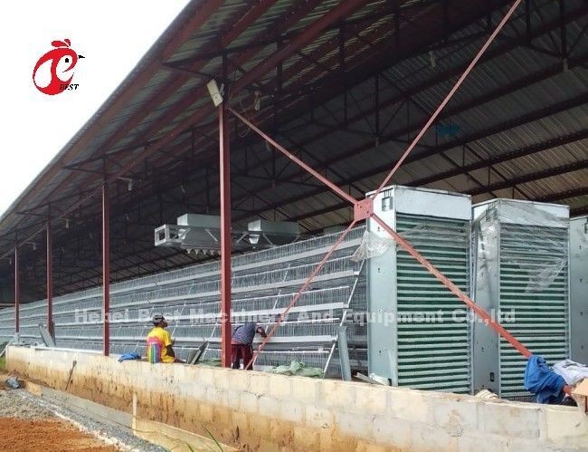 A Type Full Automatic Cage System For Layers Hot Dip Galvanized Adela