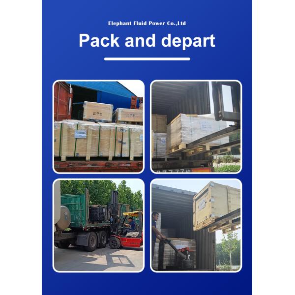 Yuken DSG-03 Series Solenoid Operated Directional Valve DSG-03-2B2-A100-41L