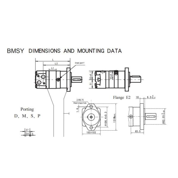Orbital Motors Low Speed High Torque Motors BMSY Series BMSY-315-E6-B-EE-D