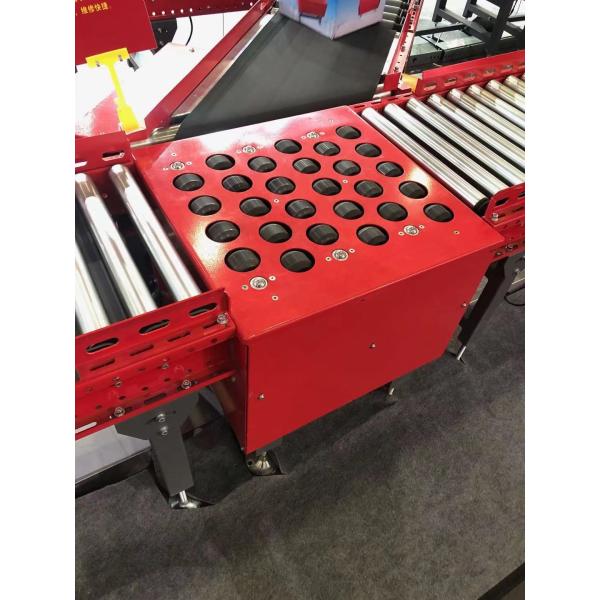 High Speed Swivel Sorters for Parcel Sorting at Airport