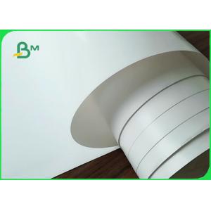 300gsm + 15gPE Biodegradable Food Container Cardboard 100% Harmless