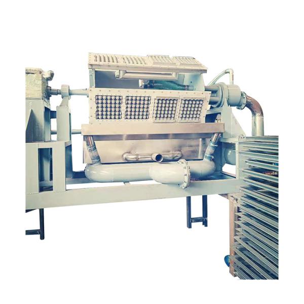 Cost Saving Paper Egg Tray Making Machine For Affordable Packaging Solutions Egg Carton Machine Production Line