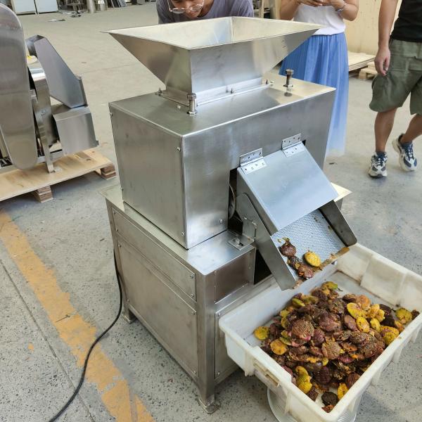 Manufacturer Sells Food-grade Stainless Steel Juicers Fruit Pulpers Mango Pit Removal Machines
