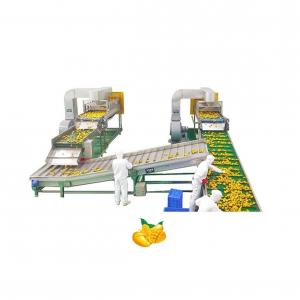 China Mango Processing Equipment Mango Juice Processing Plant , Mango Juice Extractor Machine on sale